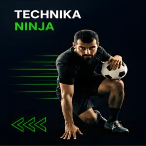Technika Ninja